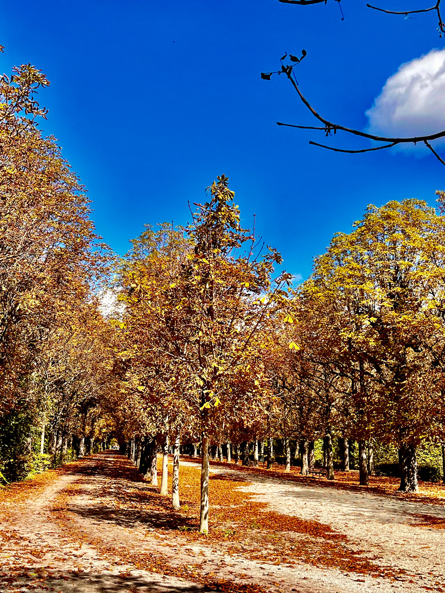 IMG_4288_2_werrenberatung